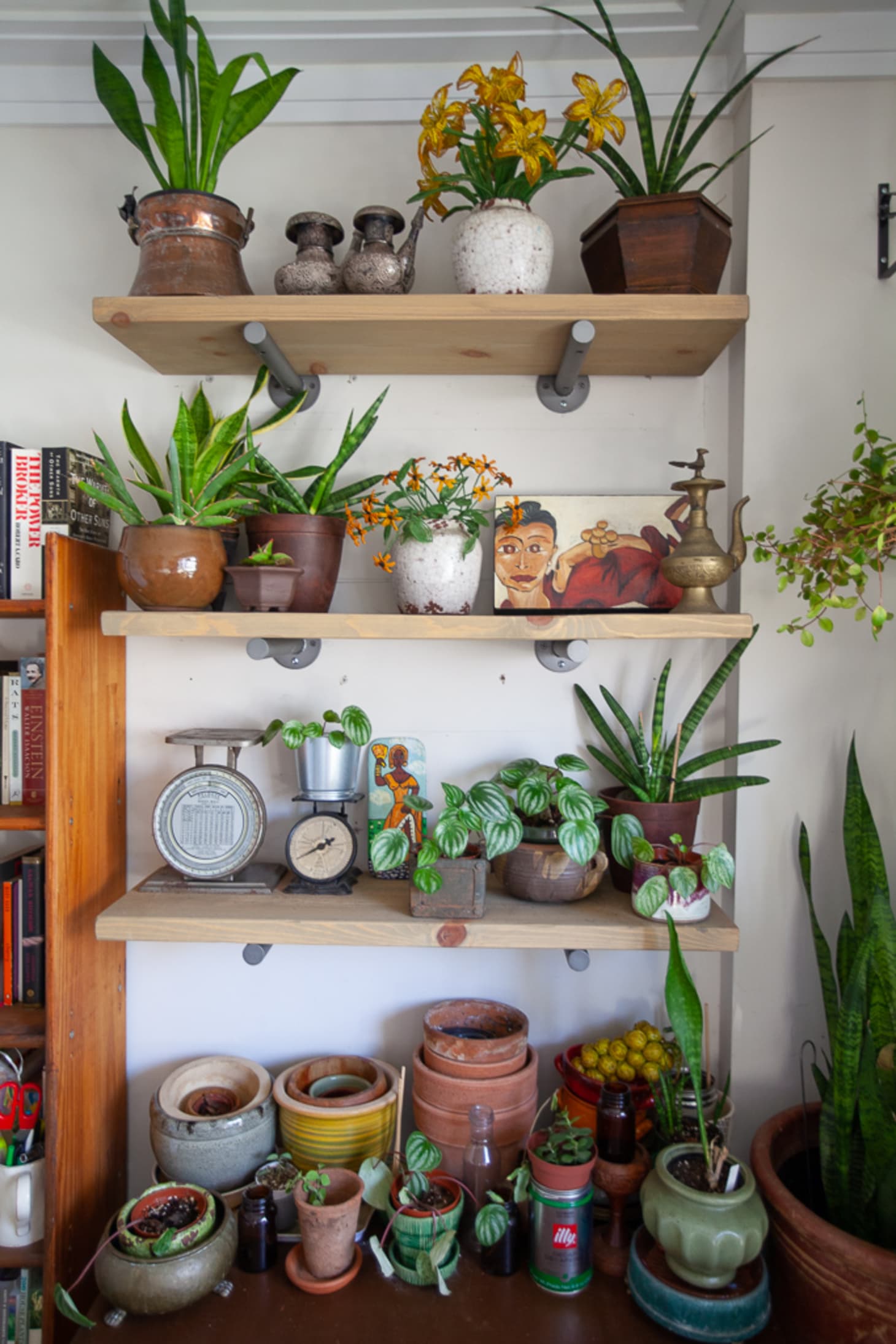 how-to-display-houseplants-65-of-our-favorite-plant-display-ideas